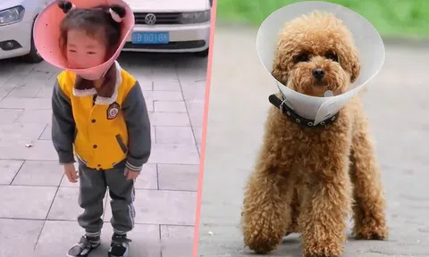 Người đàn ông bắt cháu gái 5 tuổi đeo vòng loa của vật nuôi, lý do đằng sau gây tranh cãi