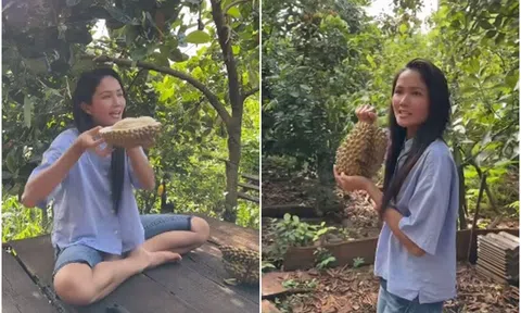Clip H'Hen Niê về quê đi hái sầu riêng có gì hot mà hút 10 triệu lượt xem?