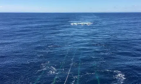 Phát hiện hồ chứa nước cổ đại khổng lồ dưới đáy biển Thái Bình Dương