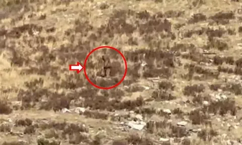 Đang mải mê tâm sự, một cặp đôi sững sờ khi tận mắt thấy quái vật Bigfoot bí ẩn nhất hành tinh