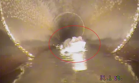 Clip: Chui vào ống cống dọn vệ sinh, công nhân hoảng hồn phát hiện một thứ đáng sợ ẩn nấp bên dưới dài 1,5m