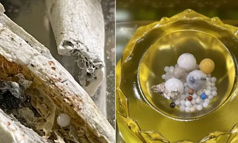 Bí ẩn về xá lợi, tại sao chỉ tìm thấy xá lợi trong tro cốt của các nhà tu hành Phật giáo sau khi hỏa táng?