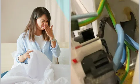 Cô gái ngửi thấy mùi hôi bốc ra từ phòng ngủ, vội vàng gọi thợ sửa ống nước thì phát hiện ra điều kinh hoàng