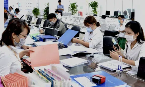 Từ 15/11/2023, áp dụng chính sách mới về tiền lương đối với công chức chuyên ngành thống kê