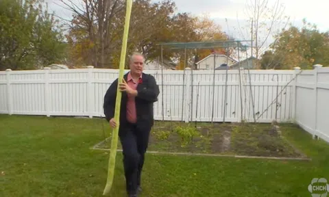 Quả bí xanh dài 2,4m ở Canada, liệu có thể phá kỷ lục Guinness thế giới?