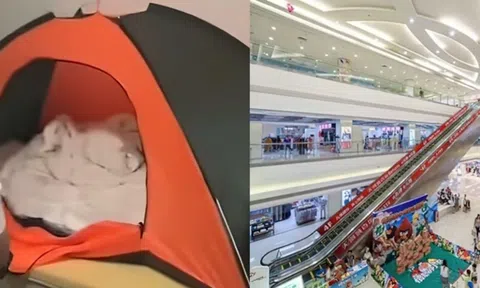 Người đàn ông lén lút sống trong trung tâm mua sắm suốt 6 tháng mà không ai phát hiện