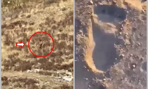 Xuất hiện dấu chân khổng lồ được cho là quái vật Bigfoot ở Úc