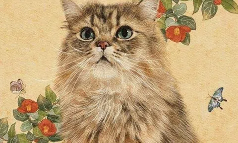 Bước vào tháng 12, top 4 con giáp này lộc bất tận hưởng, may mắn nhân đôi, sự nghiệp bội thu