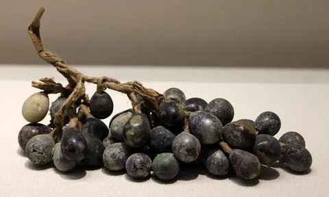 'Chùm nho' khai quật từ ngôi chùa cổ thời Bắc Tống ngàn năm không mục nát, chuyên gia tiết lộ sự thật