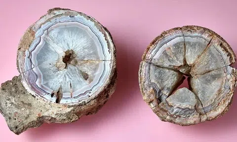 Cất giữ đá chứa mã não như vật báu vật suốt 140 năm mới biết đây là trứng của loài quái thú khổng lồ