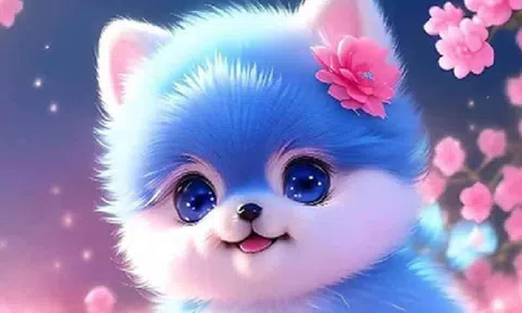 3 con giáp được mèo thần tài gọi tên trong năm 2024, vận may ập đến, tiền của vượng phát