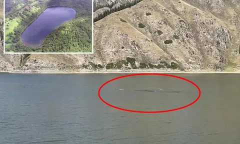 'Quái vật' bí ẩn dài 15m được phát hiện trong hồ thiên đường có hình thù kỳ lạ ở Trung Quốc
