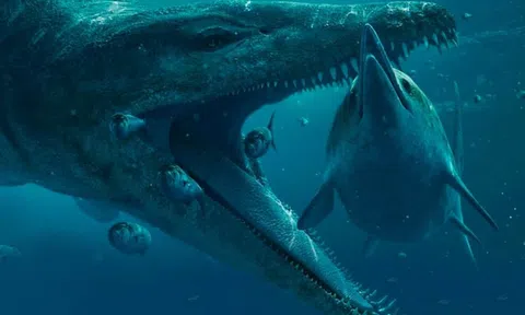 Phát hiện hộp sọ khổng lồ của quái vật biển - kẻ săn mồi đại dương trên vách đá ở Bờ biển kỷ Jura