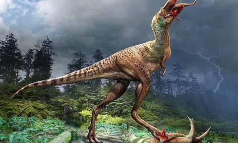 Phát hiện bữa ăn cuối cùng của khủng long 75 triệu năm trước là món khoái khẩu này