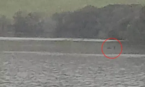 Tiết lộ 'bằng chứng rõ ràng nhất' về sự tồn tại của quái vật hồ Loch Ness gây xôn xao dư luận