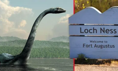 Lịch sử có thật về quái vật hồ Loch Ness, phát hiện mẫu DNA của một sinh vật khổng lồ quen thuộc?