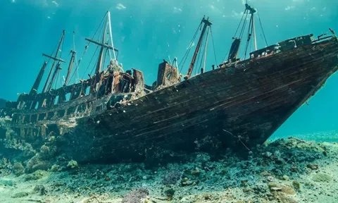 Đi câu cá, hai cha con vô tình phát hiện xác tàu đắm cách đây 152 năm