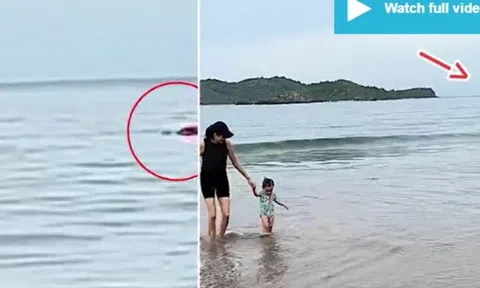 Hoảng hồn khi chứng kiến khoảnh khắc một người đàn ông bị quái vật bí ẩn 'nuốt chửng' trên mặt biển