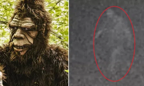 Xem lại ảnh cũ bất ngờ phát hiện khoảnh khắc có quái vật bí ẩn nghi là Bigfoot đi dạo trong đêm