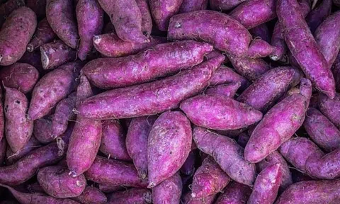 Các loại rau củ màu tím sẽ trở thành xu hướng trồng trọt trong năm 2024