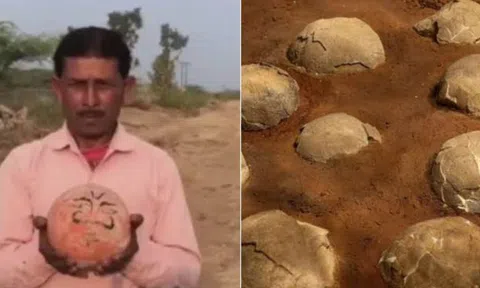 'Quả cầu đá' bí ẩn được nhiều thế hệ vùng nông thôn tôn thờ, chuyên gia tiết lộ sự thật, hóa ra là kho báu có từ 175 triệu năm trước