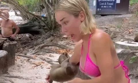 Mặc gợi cảm đi ra đảo, người mẫu nổi tiếng phải nhập viện sau khi chơi đùa với khỉ