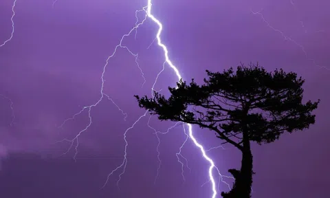 Đứng dưới gốc cây trú mưa, nam thanh niên bị sét đánh, nguyên nhân do món đồ cực giá trị đeo trên người