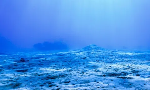 Bí ẩn về những vết rỗ lõm kỳ lạ dưới đáy đại dương cuối cùng đã có lời giải