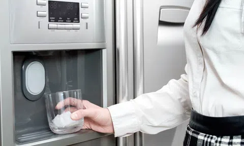 Nghe thấy tiếng rít kỳ lạ ở tủ lạnh, lại gần kiểm tra bỗng lạnh toát người khi phát hiện con vật cực độc