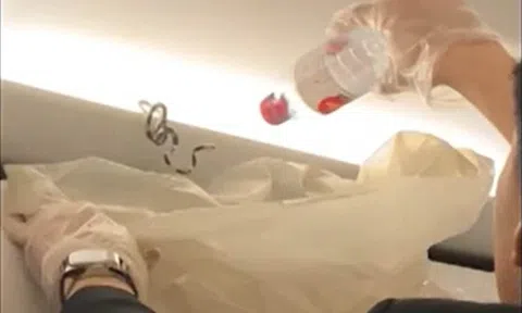 Không chỉ có trên phim ảnh: Rắn xuất hiện trên máy bay khiến hành khách hoảng sợ, chen lấn chạy tìm nơi 'lánh nạn'