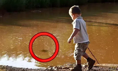 Thấy con trai lén lút ra bờ sông chơi và nhìn chằm chằm vào thứ bên dưới, người bố tá hỏa hô hoán