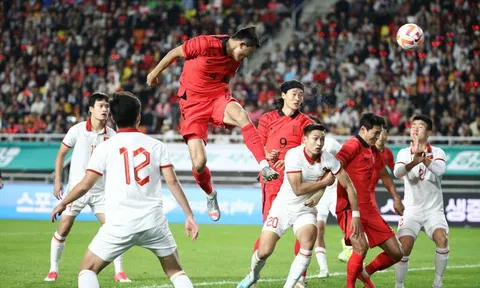 CĐV Đông Nam Á phản ứng trái chiều sau trận thua của ĐT Việt Nam