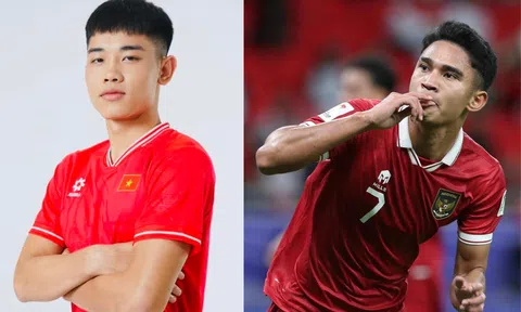 Nhận định, dự đoán kết quả Asian Cup 2023 trận Việt Nam vs Indonesia, 21h30 ngày 19/1