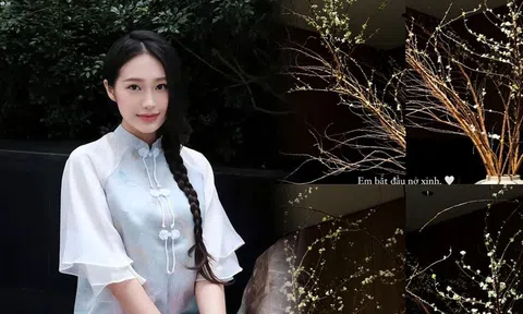 Loại hoa Tết được Doãn Hải My mua trước cả tháng trưng bày trong nhà