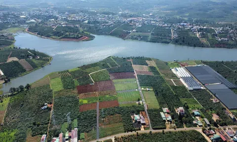 Lâm Đồng: Chấp thuận nhà đầu tư thực hiện dự án Khu dân cư đồi Thanh Danh