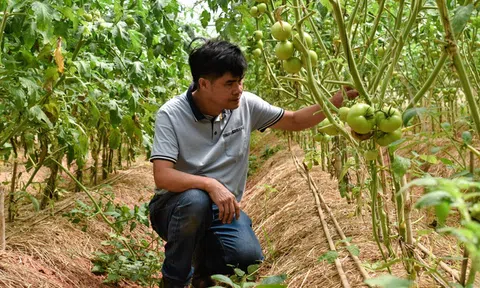 Lâm Đồng: Lộ trình phát triển nông nghiệp xanh