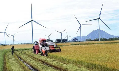 Mục tiêu đưa ngành nông nghiệp miền Trung trở thành nền nông nghiệp sinh thái, hiện đại, hội nhập quốc tế.