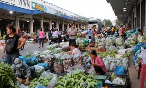 Đồng Nai: Đầu tư cơ sở hạ tầng thúc đẩy nông nghiệp phát triển