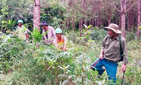 Ka La TơnGu thực hiện chính sách chi trả dịch vụ môi trường rừng