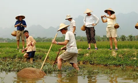 Ninh Bình: Phát triển du lịch nông nghiệp, nông thôn 'níu chân' du khách