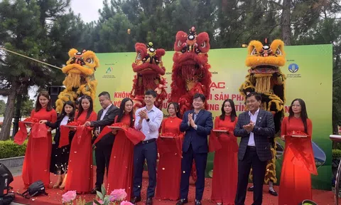 Kết nối sản phẩm OCOP gắn với hoạt động du lịch