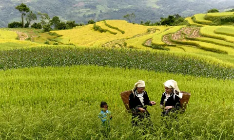 Tuyên Quang tiềm năng phát triển du lịch nông nghiệp