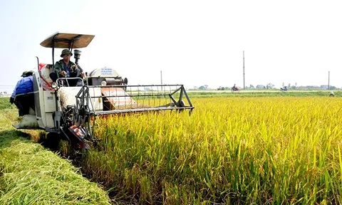 Phát triển không gian nông nghiệp trong định hướng quy hoạch Thủ đô Hà Nội văn hiến-văn minh-hiện đại