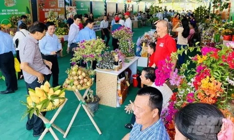 Đồng Tháp: Ngày hội Nông sản Lai Vung thu hút hơn 25 ngàn lượt khách tham quan