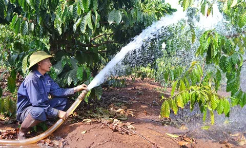 Lâm Đồng đảm bảo tài nguyên nước, ứng phó tốt với khô hạn kéo dài