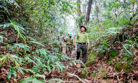 Di Linh chú trọng công tác phòng, chống cháy rừng