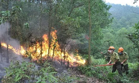 Đắk Nông tăng cường công tác phòng cháy, chữa cháy rừng