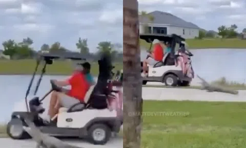 Thót tim với khoảnh khắc 'quái vật' hung hãn lao ra đuổi theo người chơi golf