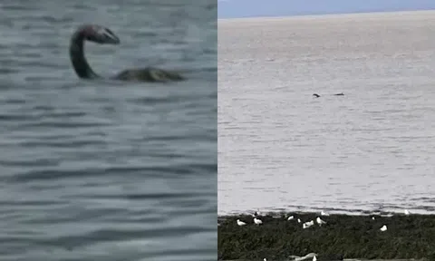 Sững sờ phát hiện 'quái vật hồ Loch Ness' xuất hiện rõ như ban ngày ở cự ly gần