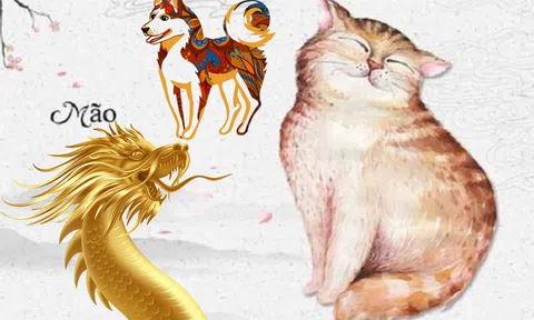 Tử vi 12 con giáp hôm nay ngày 5/3/2024: Tuổi Hợi đứng trước ngã rẽ cuộc đời, tuổi Ngọ dễ thị phi